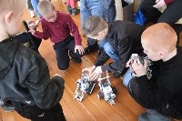 �����������